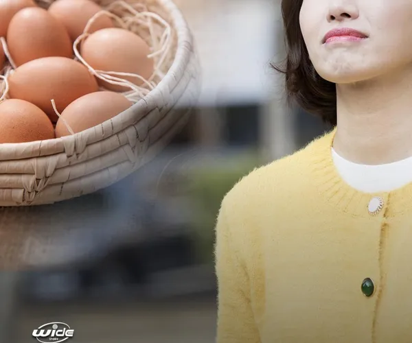 BADA.TV 바다티비