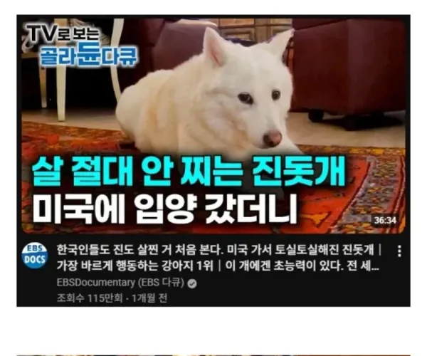 BADA.TV 바다티비