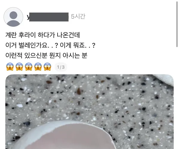 BADA.TV 바다티비