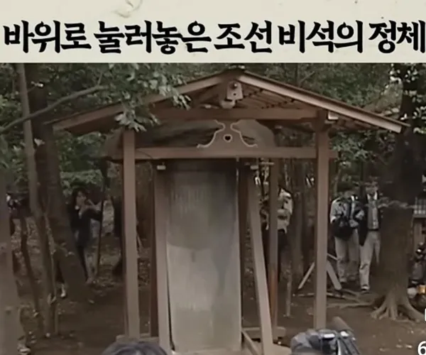 BADA.TV 바다티비