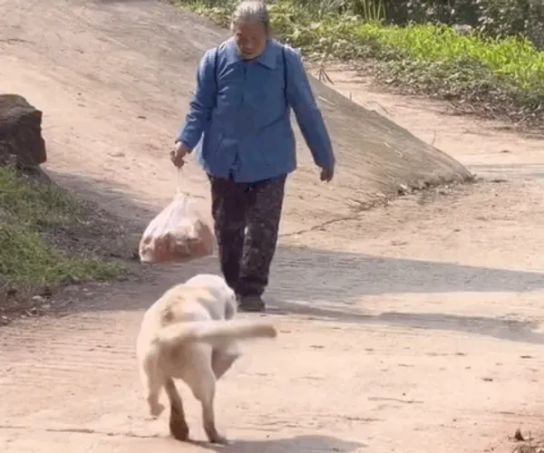 BADA.TV 바다티비