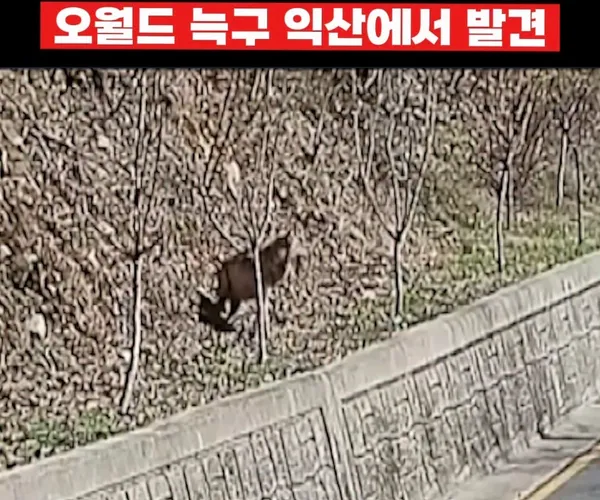 BADA.TV 바다티비