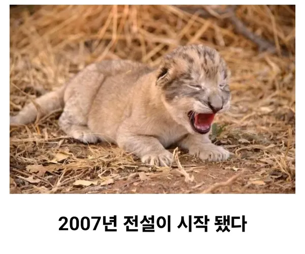 BADA.TV 바다티비