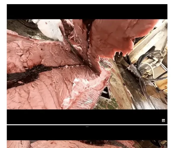 BADA.TV 바다티비