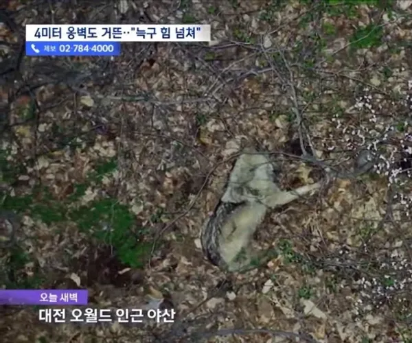 BADA.TV 바다티비