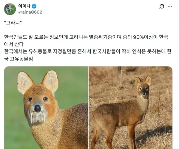 BADA.TV 바다티비