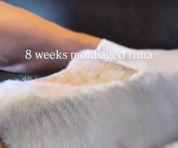 BADA.TV 바다티비