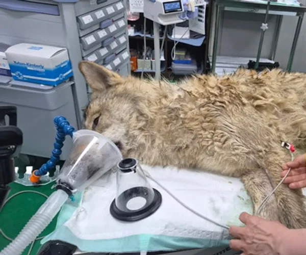 BADA.TV 바다티비