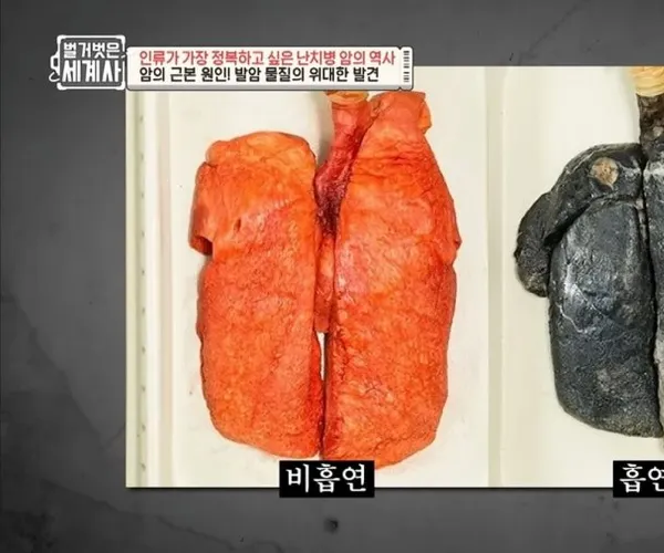 BADA.TV 바다티비