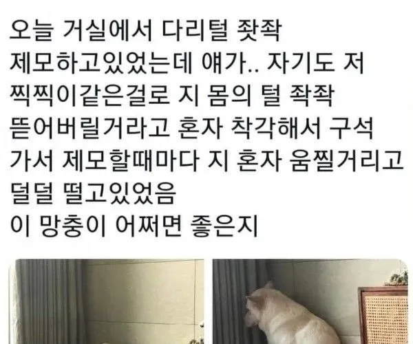 BADA.TV 바다티비