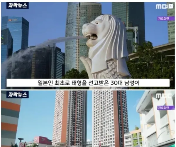 BADA.TV 바다티비