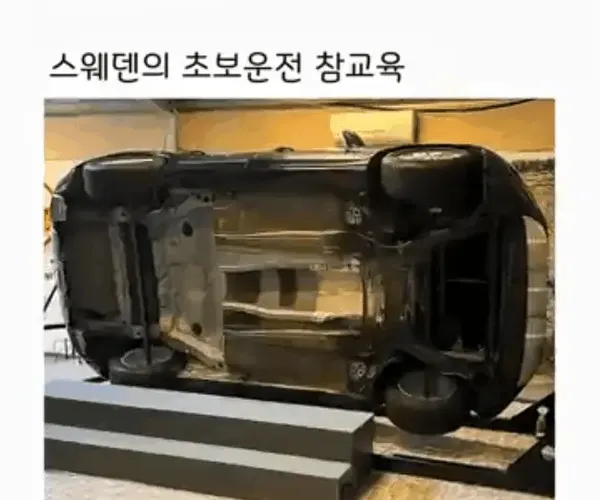 BADA.TV 바다티비