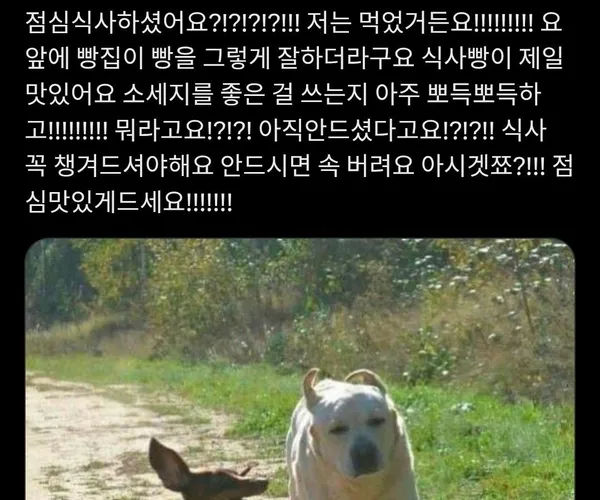 BADA.TV 바다티비