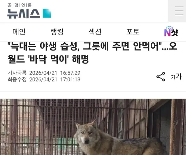 BADA.TV 바다티비