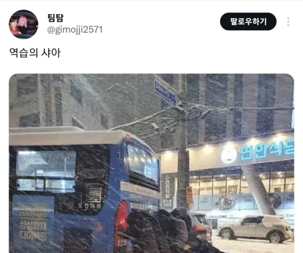 BADA.TV 바다티비