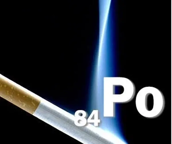 BADA.TV 바다티비