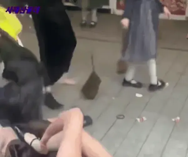 BADA.TV 바다티비