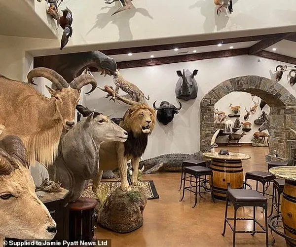 BADA.TV 바다티비