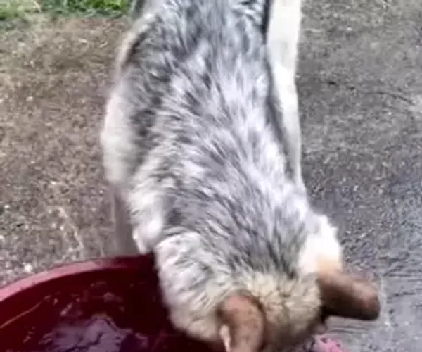 BADA.TV 바다티비