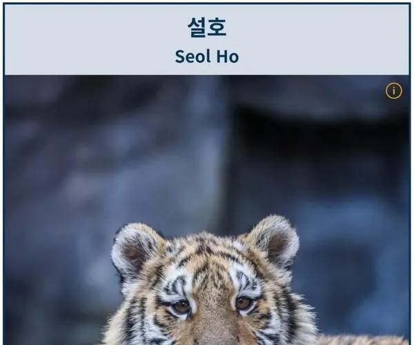 BADA.TV 바다티비