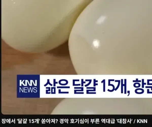 BADA.TV 바다티비