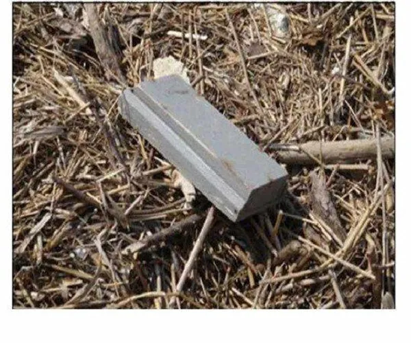 BADA.TV 바다티비