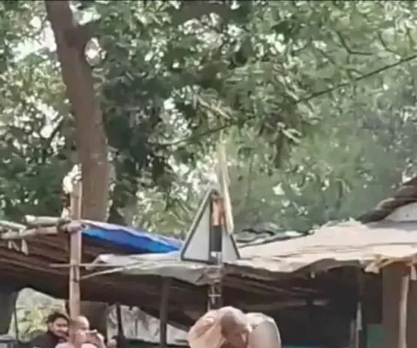 BADA.TV 바다티비