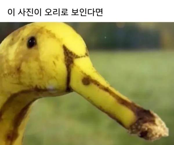 BADA.TV 바다티비