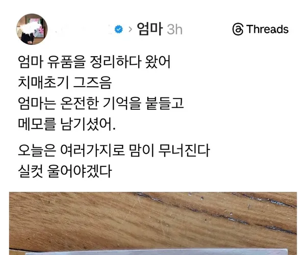 BADA.TV 바다티비