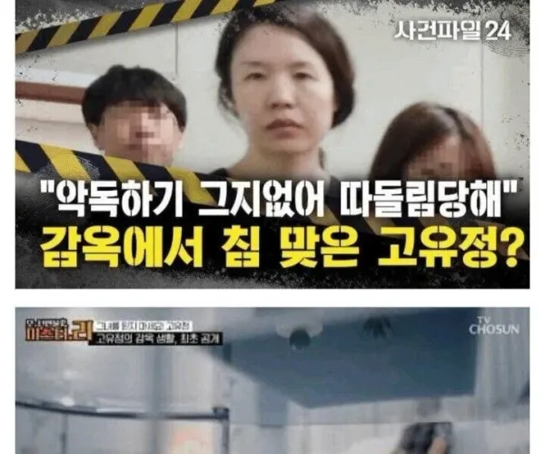 BADA.TV 바다티비