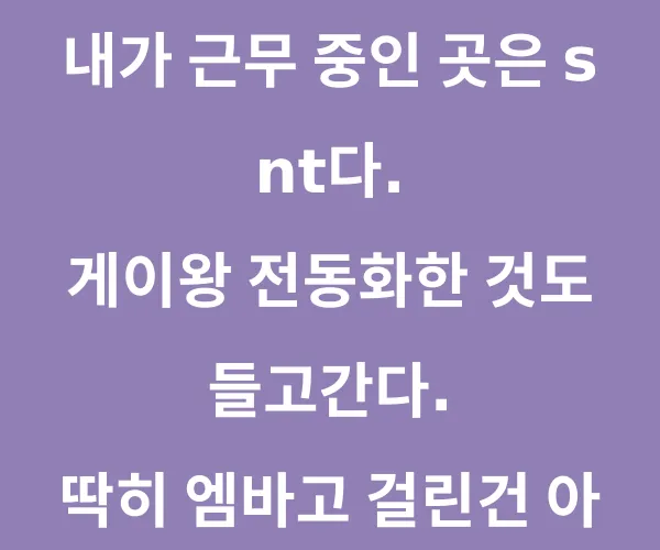 내일 회사에 다스 들고간다