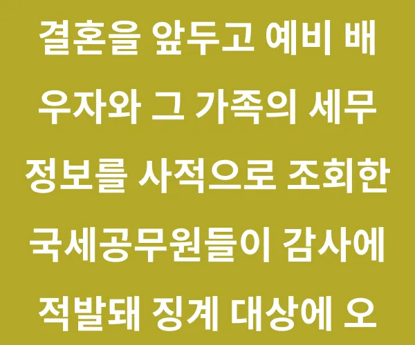 "너희 집 잘 산다며?" 결혼 전 집안 정보 뒤진 국세청 직원들