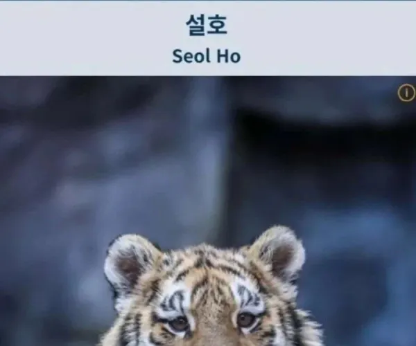 BADA.TV 바다티비