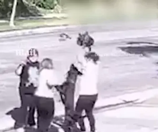 미국판 대형견 통제불가녀 ㄷ.avi