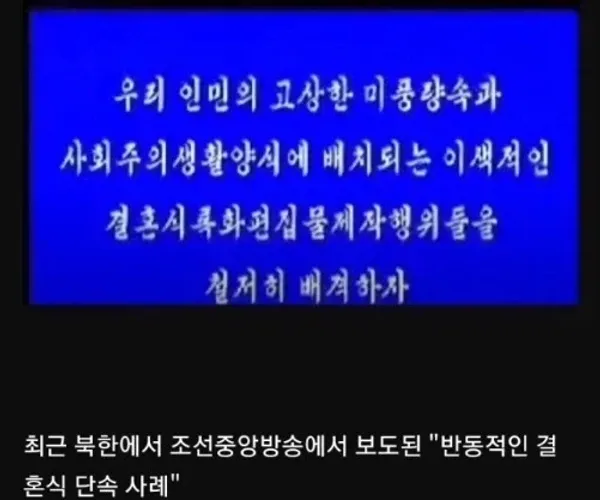 BADA.TV 바다티비