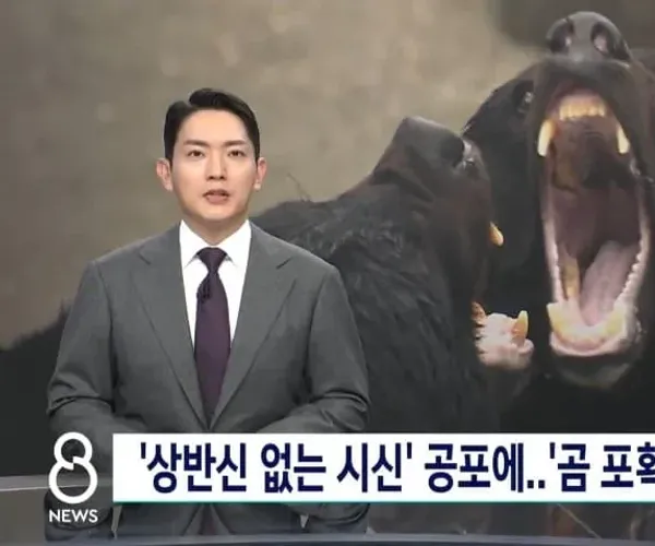BADA.TV 바다티비