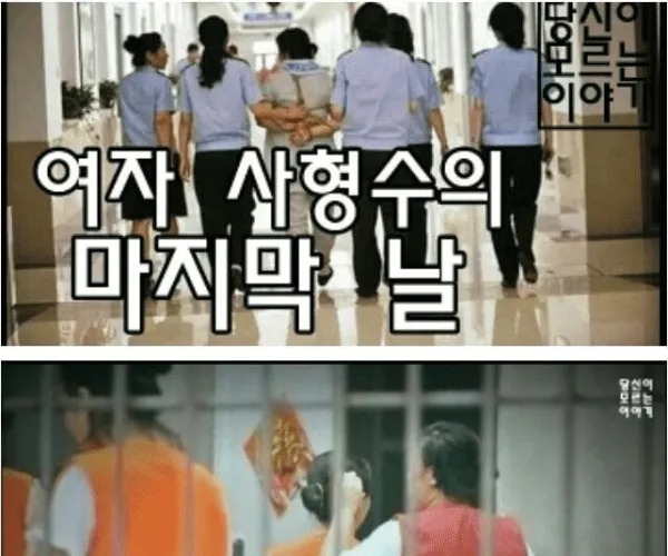 BADA.TV 바다티비