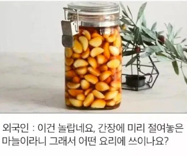 BADA.TV 바다티비