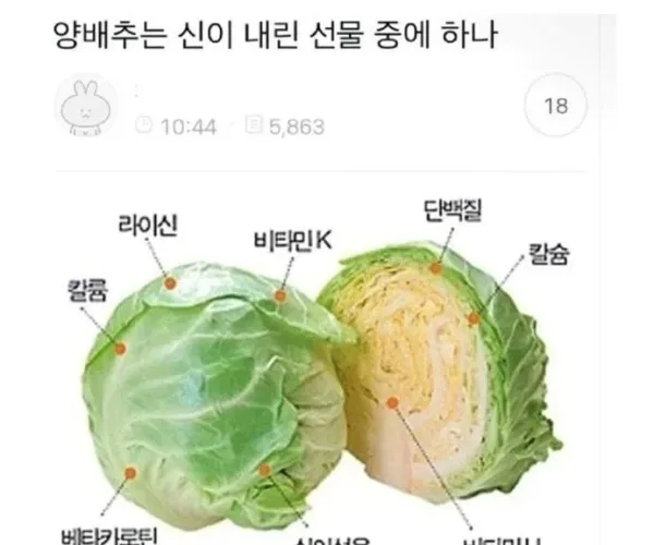 BADA.TV 바다티비