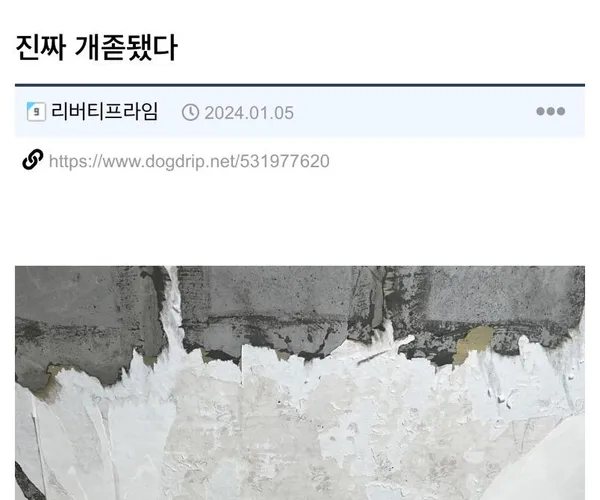 BADA.TV 바다티비