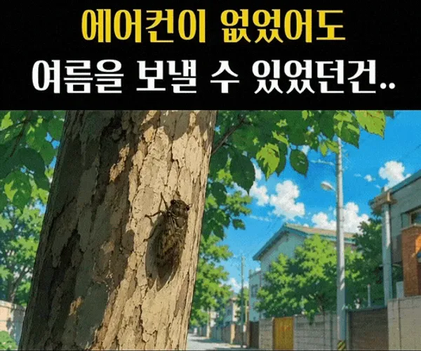 BADA.TV 바다티비