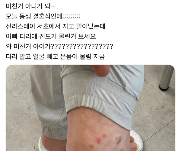 BADA.TV 바다티비
