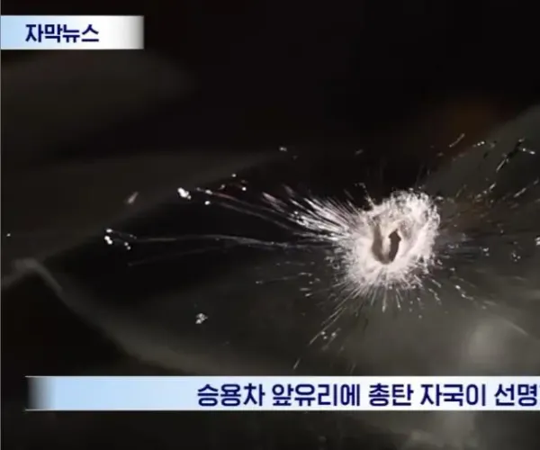 BADA.TV 바다티비