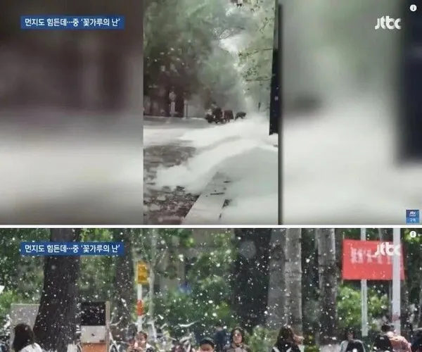 BADA.TV 바다티비