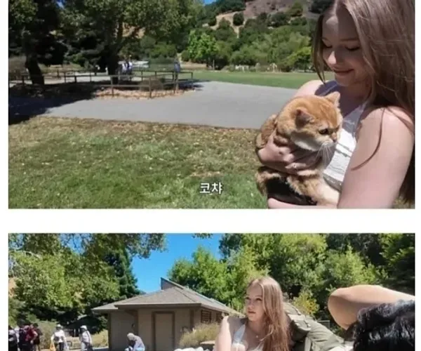 BADA.TV 바다티비