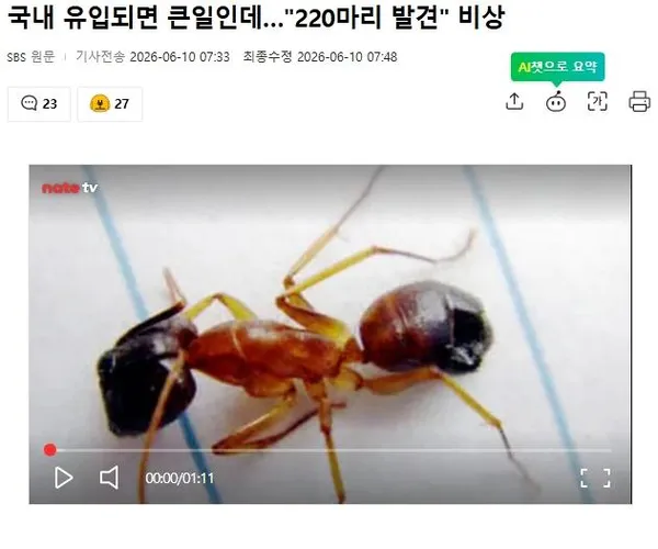 국내 유입되면 큰일인데…220마리 발견 비상