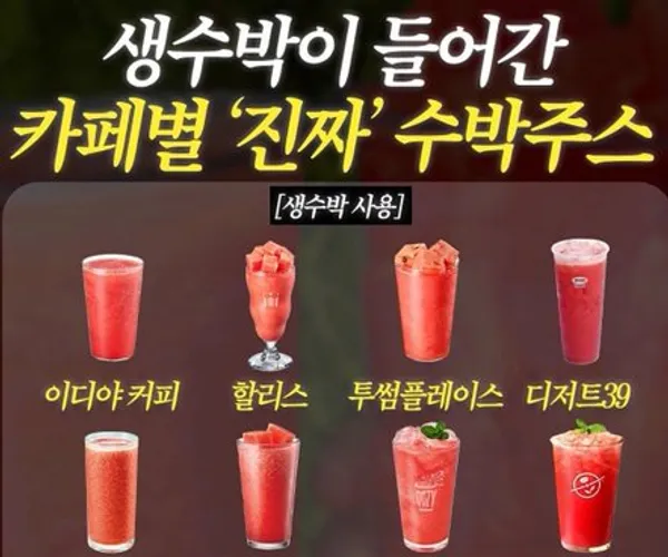 BADA.TV 바다티비