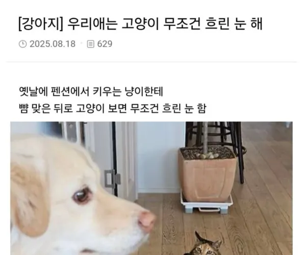 BADA.TV 바다티비