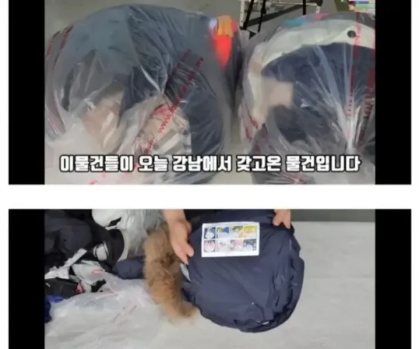 50억 아파트에서 헌옷 수거한 후기 ㄷㄷ ㄷㄷ ㄷㄷ ㄷㄷ.JPG
