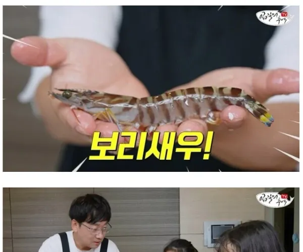 1마리에 8000원짜리 새우 사온 아빠를 본 딸의 반응
